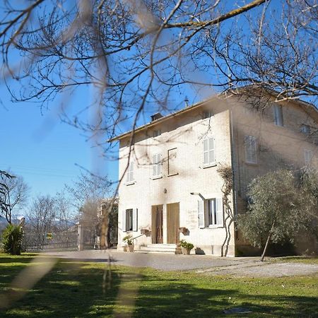 Bed and Breakfast Il Glicine Falerone Exterior foto
