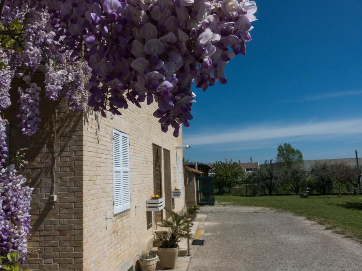 Bed and Breakfast Il Glicine Falerone Exterior foto
